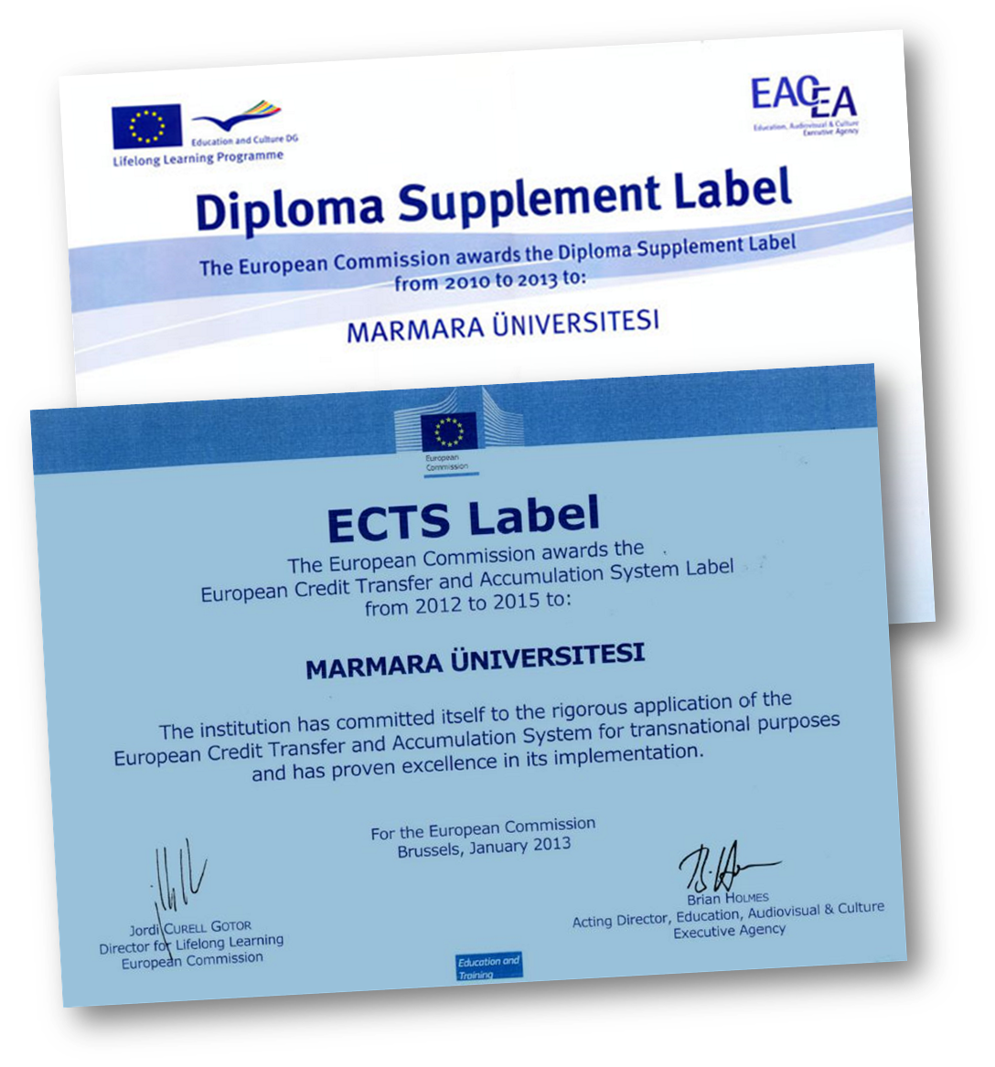 Mavi Diploma Nedir? Avantajları ve Başvuru Şartları