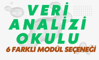 veri analizi okulu nedir