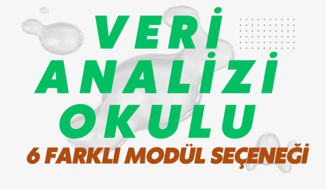 veri analizi okulu nedir